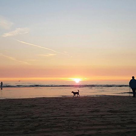 2 Bedroom Pet Friendly Home In Egmond Aan Zee Εξωτερικό φωτογραφία